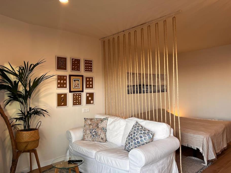 Ocean Dream Apartments - Lovely Sea View Studio Apartment 5Min From Beach San Marcos  Dış mekan fotoğraf
